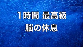 【1時間】 脳の疲れをとり最高級の休息へ 自律神経を整える音楽 α波リラックス効果抜群 【超特殊音源】ストレス軽減 ヒーリング 睡眠 集中力アップ アンチエイジング 瞑想 休息に