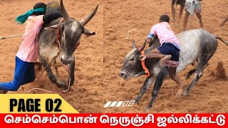 செம்பொன் நெருஞ்சி ஜல்லிக்கட்டு 2024 Videos page 02