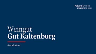 Weingut Kaltern | Gut Kaltenburg