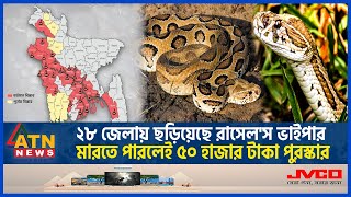 ২৮ জেলায় ছড়িয়েছে রাসেল'স ভাইপার, মা-রতে পারলেই ৫০ হাজার টাকা পুরস্কার | Russels Viper | ATN News