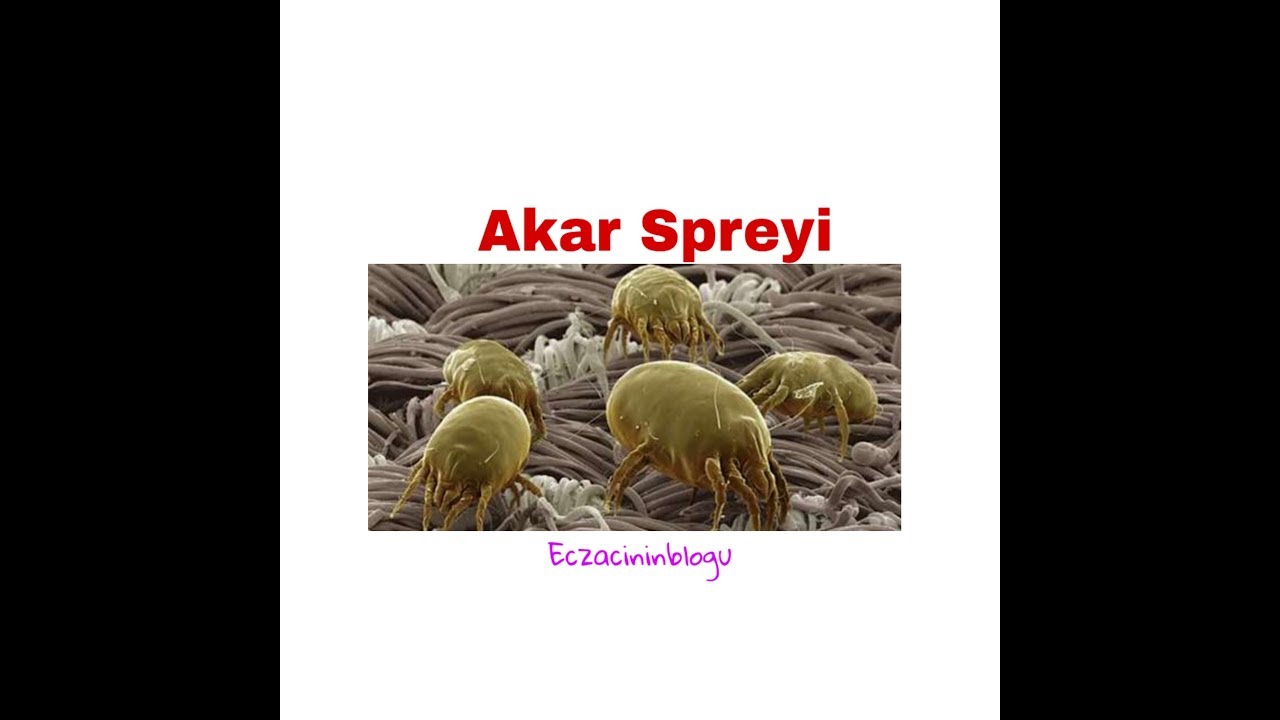 AKARLARDAN KURTULUN|ART DE HUİLE SPREY - YouTube