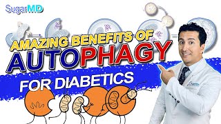 How to Reverse Diabetes by Inducing Autophagy!