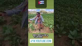 6ix9ine Is A Farmer Now??? #shorts #shortsfeed #6ix9ine #tekashi69 #lenier #bori #6ix9inememes