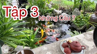 HỒ CÁ KOI BÁN TỰ NHIÊN TẬP 3 chia sẻ các vấn đề ae quan tâm ??