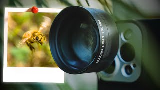 Macro Like a PRO? Sandmarc 100mm Macro Lens Review