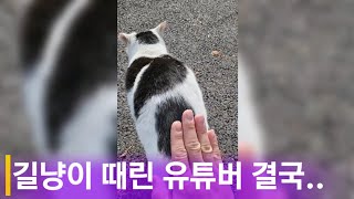 수십여 차례 길냥이 때린 유튜버 결국에는?