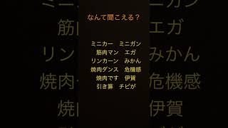 なんて聞こえる？#shorts #short #ちょんまげ小僧 #ひき肉です #tiktok #capcut #バズれ #伸びろ #おすすめにのりたい