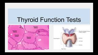 Thyroid Function Tests