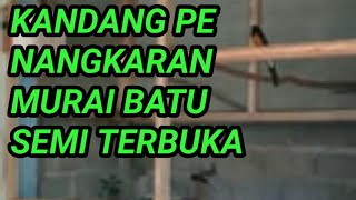 SALAH SATU CONTOH KANDANG PENANGKARAN MURAI BATU SEMI TERBUKA