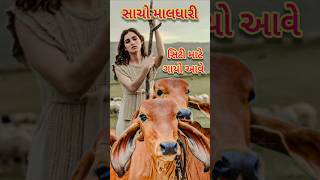 સાચો માલધારી 🥰 સિટી માટે ગાયો આવે 😱#ગાય#cow#ગુજરાતી#gujarati#shortsvideo#youtubeshorts#gujarat#viral