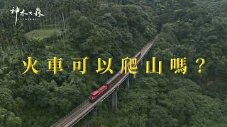 火車特殊爬山篇｜神木之森：阿里山森林鐵道紀行