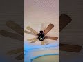 Hunter Coral Bay Ceiling Fan #shorts #roblox