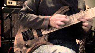 Fred Brum   Skervesen Swan 8 string