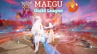 [BDO] Maegu Succession PVP Guild League