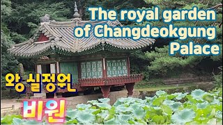 royal garden.  Changdeokgung Palace 왕실정원, 창덕궁 @Hi Korea비원에서 왕의 여가를 경험하다.