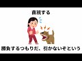 犬が敵意を示す仕草に関する雑学 犬 雑学 聞き流し 睡眠 癒し いぬのきもち 犬のいる暮らし