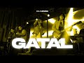 Drama Band - Gatal (Live at Malam DRAMA)