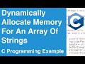 Dynamically Allocate Memory For An Array Of Strings | C Programming Example