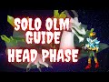 Solo Olm Guide - Head Phase (With Depth)