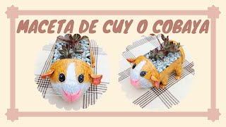 Tutorial maceta de cuy ✿ Compras ✿ Trasplante.