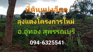 ที่ดินแบ่งล็อค ลุงแดงโครงการใหม่ ต.พลับพลาไชย อ.อู่ทอง สุพรรณบุรี 094-6325541