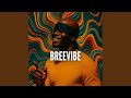 Breevibe
