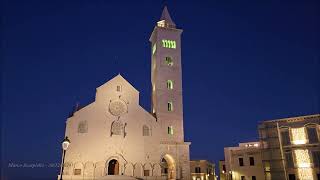 Trani - Basilica Cattedrale di Maria Santissima Assunta - Panorama dal Campanile