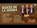 Los Armadillos de la Sierra - Raíces de la Sierra (VideoMix 2024)