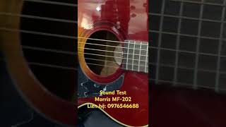 Sound Test Morris MF-202 #guitar #viral #guitaracoustic #morris #guitarjapanphangia