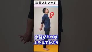 【猫背 ストレッチ】10秒で姿勢を良くする方法 #Shorts