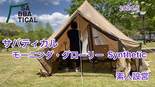 テント設営 サバティカルモーニング・グローリー Synthetic