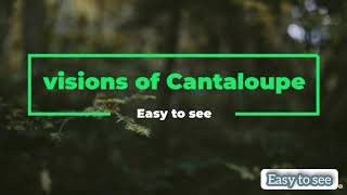 Visions of Cantaloupe/Muzzo tree।।বাঙ্গি গাছ/খরমুজ এর দৃশ্যবলি ।।