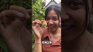 PERTAMA KALI MAKAN BUAH CIPLUKAN