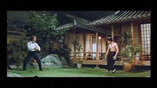Kung-Fu: Bruce Lee vs. Robert Baker