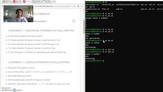 experiment 2: conditional statements in bash
