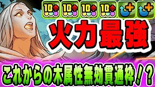 これから先欲しくなる性能！？レンと七番が無効貫通としてかなり優秀なスペック持ち！【万寿】【永刻の万龍】【パズドラ実況】