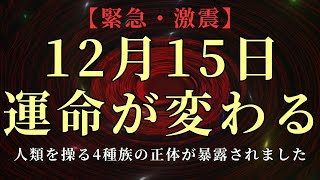 2024年12月15日に激変する運命。人類を操る4種族の正体が明かされます。神の介入に備えてください。