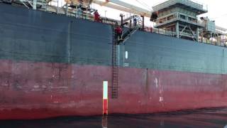 Pilot Disembarking Bulk Carrier by Pilot Ladder in Gage Roads