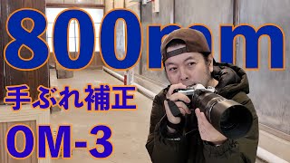 【カメラ】OM-3と100-400mmレンズで手ぶれ補正を試す！