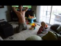 baby takes 1st steps and father s reaction is priceless.