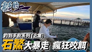 【艇釣】打完風又有走籠魚？石鰲/石鰵大暴走 瘋狂咬餌 艇艇爆釣輕易過擔 做花膠魚種 | #香港釣魚