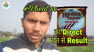 #Wheat80 heera super 2-4d sodium salt 80% direct field Result