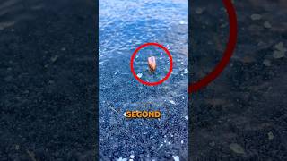 Bullet Spinning on Ice!😱