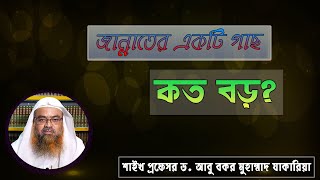 প্রশ্ন : জান্নাতের একটি গাছ কত বড়? শাইখ প্রফেসর ড. আবু বকর মুহাম্মাদ যাকারিয়া