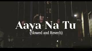 Aaya Na Tu(Slowed and Reverb)-Arjun Kanungo,Momina Mustehsan|With Lofi Remake|Love Song|Last Lo-fi🖤