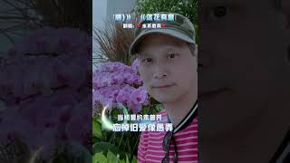 落花有意 粤语版（翻唱罗杰文）