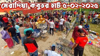 মেরাদিয়া কবুতর হাট ৫-০২-২০২৫ | Pigeon market in Bangladesh | Kobutor hat 2025 | কবুতর হাট ২০২৫ |