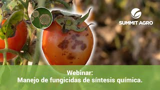 Webinar: Manejo de fungicidas de síntesis química.