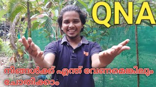 QNA | എന്ത് വേണമെങ്കിലും ചോതിക്കാം