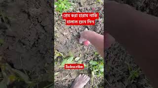 প্রেম করা হারাম নাকি হালাল শুনে নিন #Foryou#vairal #Foryou#vairal #riyad